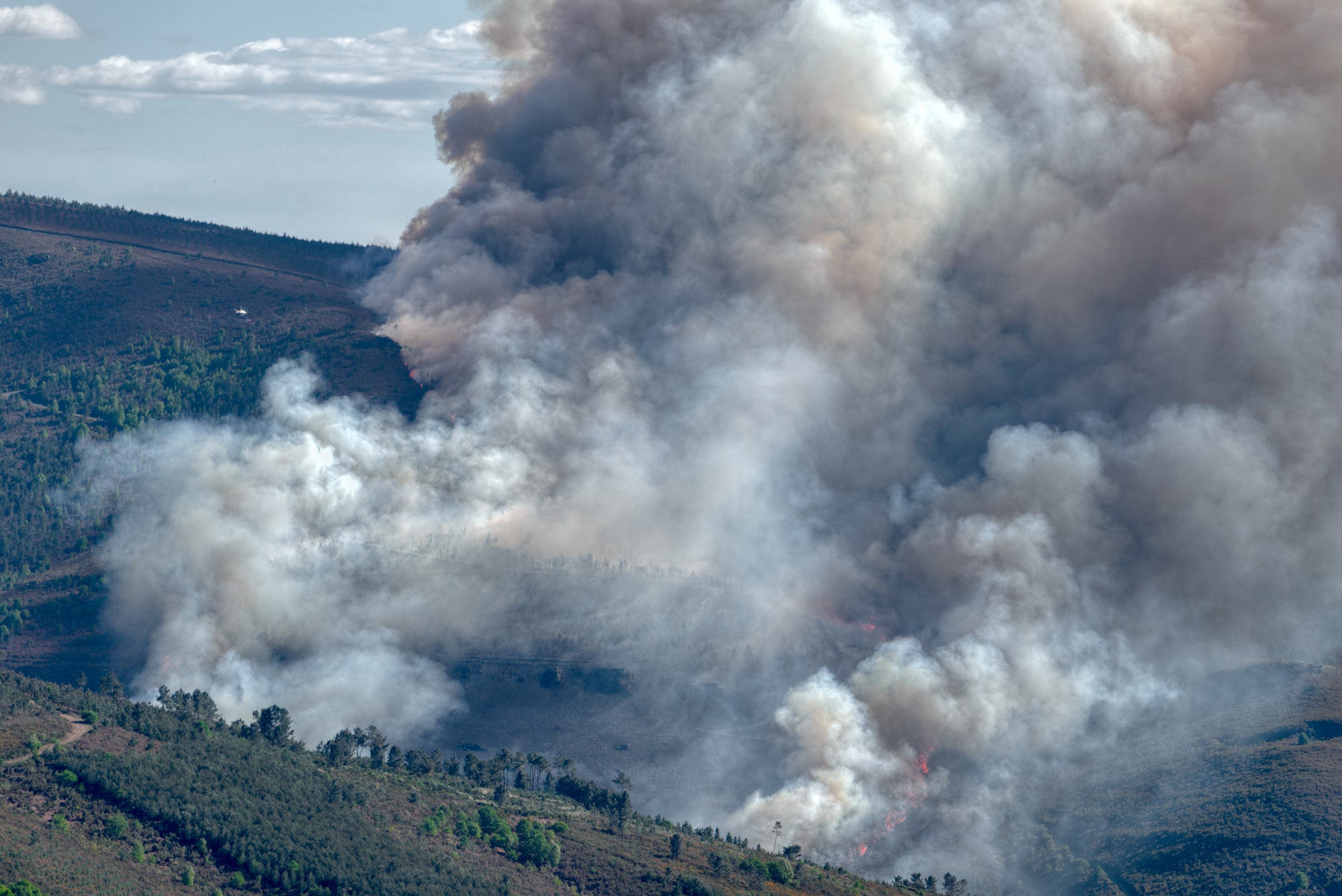 Forest fire in the Courel range